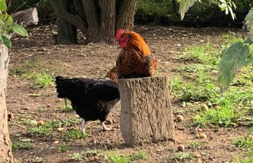 Toskania Kociewska - Photo 30