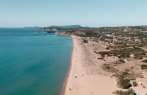 PETRINO FOINIKOUNTA - Foto 13