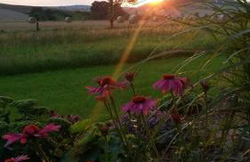 Landidylle - Foto 12