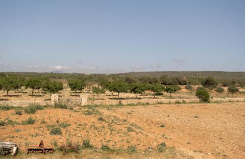 Agroturismo Son Marge - Photo 6