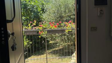 Voce del Casentino - Foto 2