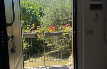 Voce del Casentino - Foto 2