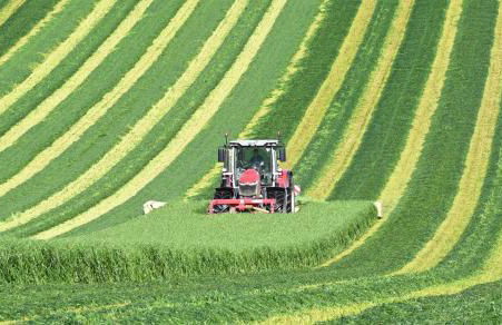 Monarchs View Farmstay - Foto 19