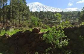 Floral garden house - Foto 19