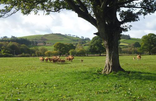 Tynddol Barn - Foto 32