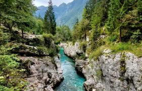 Appartamento - Cave del Predil - Photo 43