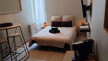 La Bulle de Tours, hyper center, train station in front! - Photo 4