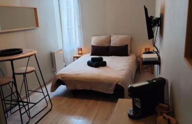 La Bulle de Tours, hyper center, train station in front! - Photo 4