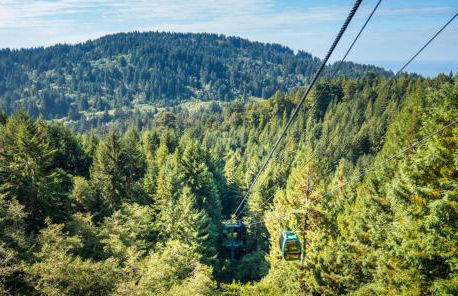 Surfside Beach House near Ancient Redwoods - Foto 59