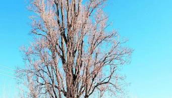 La Casa del Pan de Archivel - Foto 5