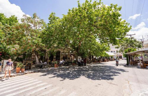 Michael's apartment Filoti - Foto 33