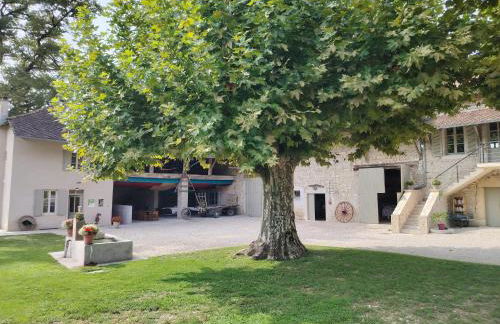 Gîte Le Vieux Chêne - Foto 31