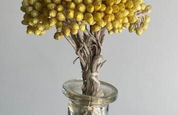 Zante Town Terrace. - Foto 23