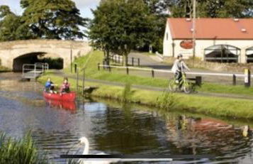 The Little Beech Tree - Foto 40