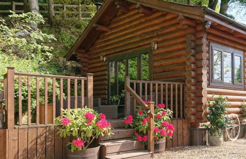 Howburn Log Cabin - Foto 25