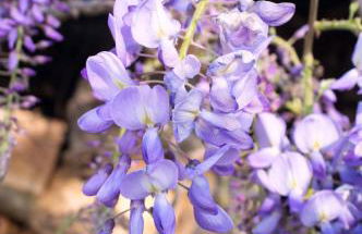 La Bâtie - Vue imprenable - Amazing view - Parking privé - Photo 74