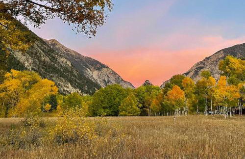 Close to Hot Springs Chalk Creek Meadows Home! - Photo 40