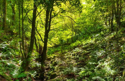 Haven Heights - Foto 34