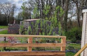 Postwood Gardens Balmoral Country Cabin - Photo 11