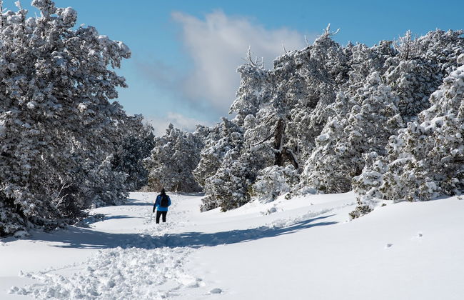 Sanders Arsorama - Sweet 1-bdr Apt w/ Shared Patio - Foto 30