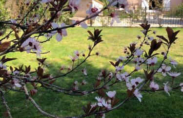 AU MIMOSA -Gîte Le Canigou - Foto 4