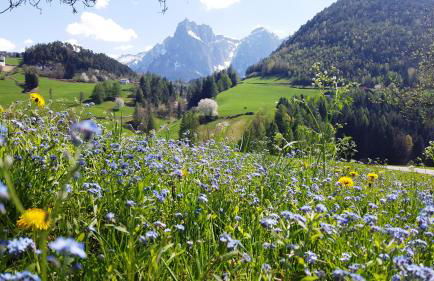 Sonnenresidenz Kastelruth - Foto 54