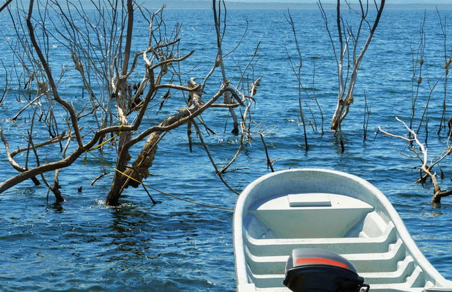 Excursión al lago Enriquillo con avistamiento de cocodrilos - Foto 1