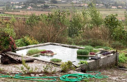 Quinta do Pinheiro - Foto 40