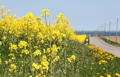 Elegant Mansion in Barlin With Swimming Pool - Foto 80