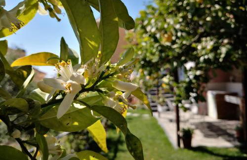 Florinda Lemon's Suite - Foto 31