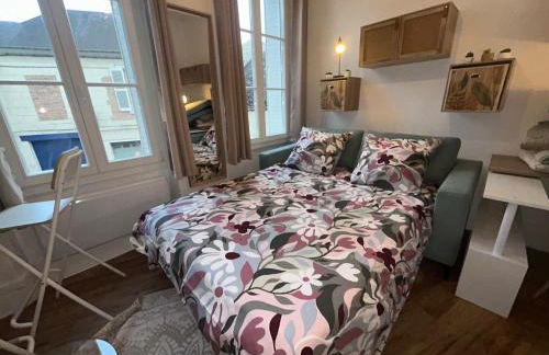 Les Nids De Laon Le Canari - Foto 51