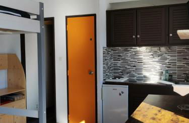 Un Isard au Pied des Pistes - Foto 8