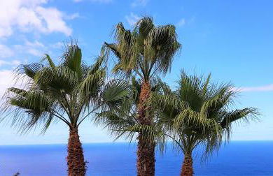 Villa Larnia de Tenerife - Foto 15