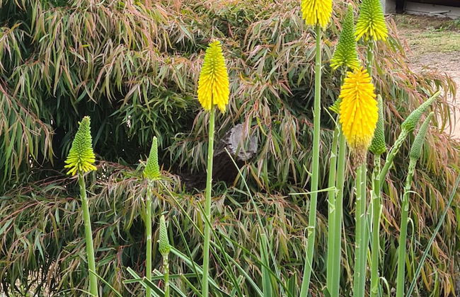 Mallacoota's Shady Gully Caravan Park - Photo 45