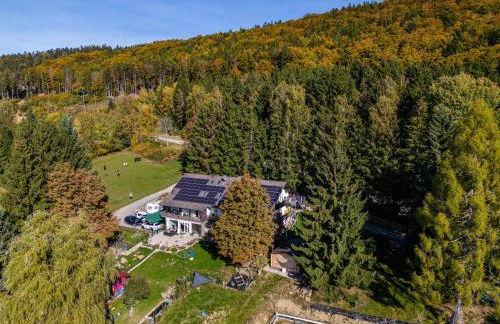 Fuchswiese - Foto 19