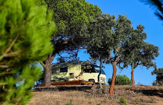 wecamp Reserva Alecrim - Foto 56