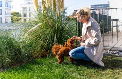 Yachthafen Barth - Ferienwohnung und Penthouses - Photo 43