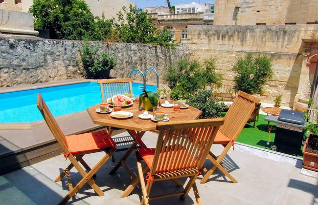 Maltese Maltese - Foto 50