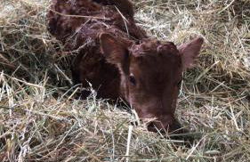 Der perfekte Ausgangspunkt - Foto 40