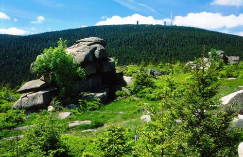 Ferienwohnung Osterbrink - Foto 12