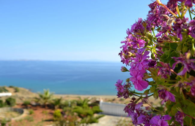 Villa Ioanna Greengrey- Vacation Houses for Rent Close to the Beach - Foto 28