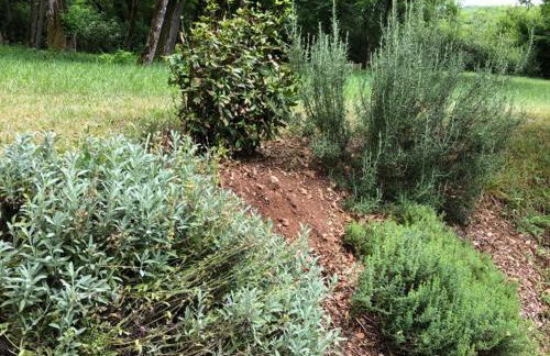 Maison périgourdine avec piscine privée, Wifi, animaux acceptés à proximité de Lascaux - FR-1-616-460 - Foto 16