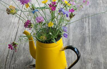 Astra Inn - Photo 21