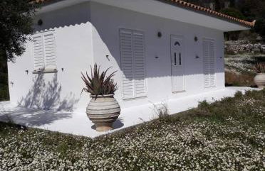 Old Olive house - Foto 42