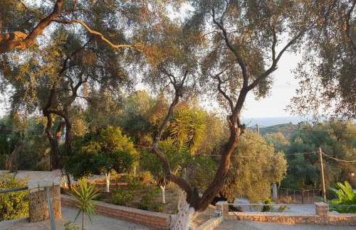 Angelos Studios - Photo 8