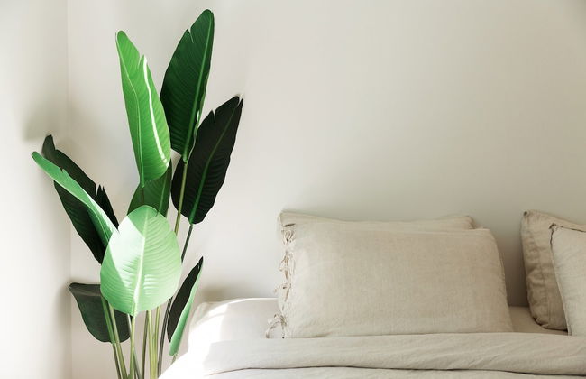 Jet Flamingo Villas - Foto 23