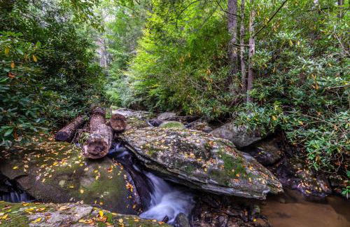 Waterfall Cottage - Foto 6