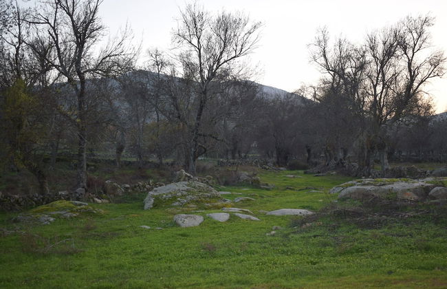 CASA RURAL LAS NAVILLAS - Foto 11