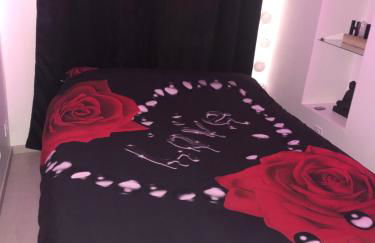 Appartement Love room avec jacuzzi et hammam privatisé Lieu insolite en amoureux Spa détente assurée avec de doux massages en options sur demande - Foto 8