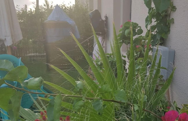 Marassi North Coast - Photo 20